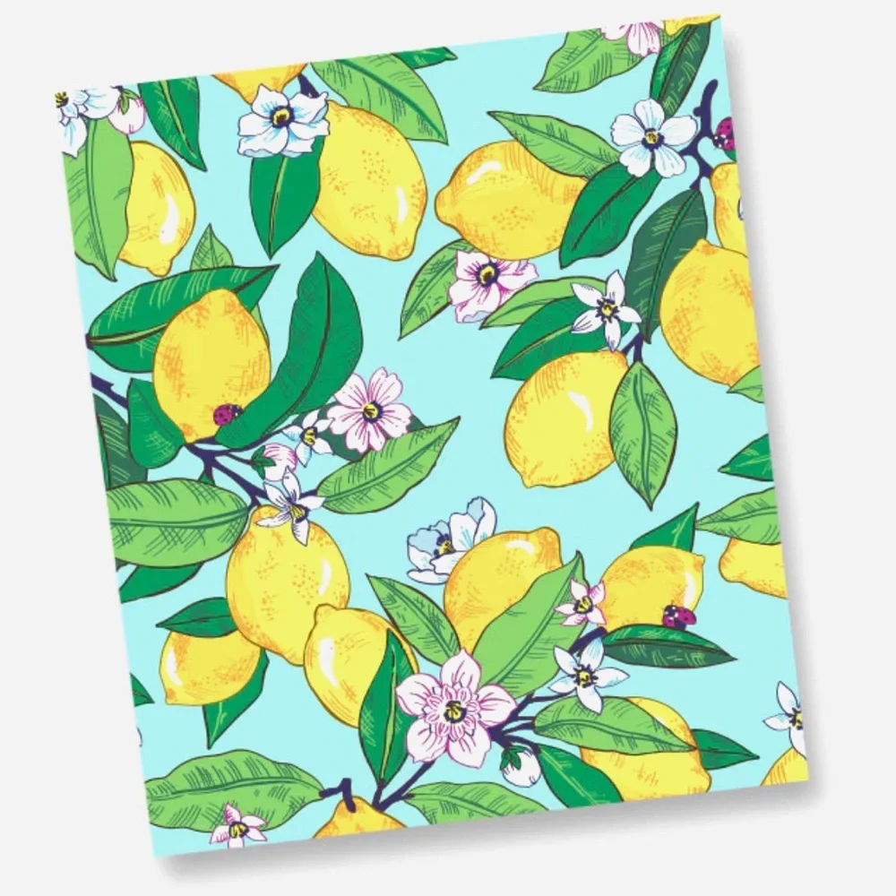 Vera Bradley vera bradley